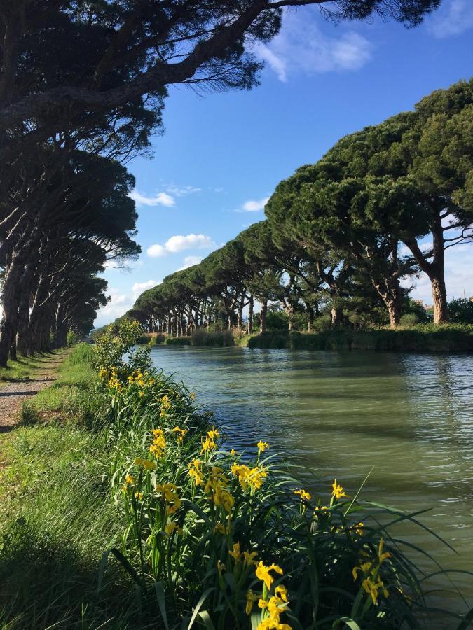 La Passerelle Du Canal Sallèles-dʼAude Exteriör bild